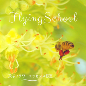 飛ぶフラワーエッセンス教室