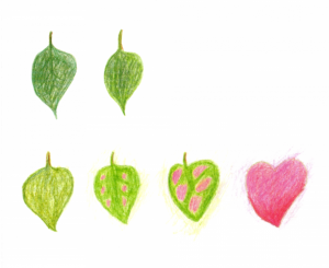 leaves and heart