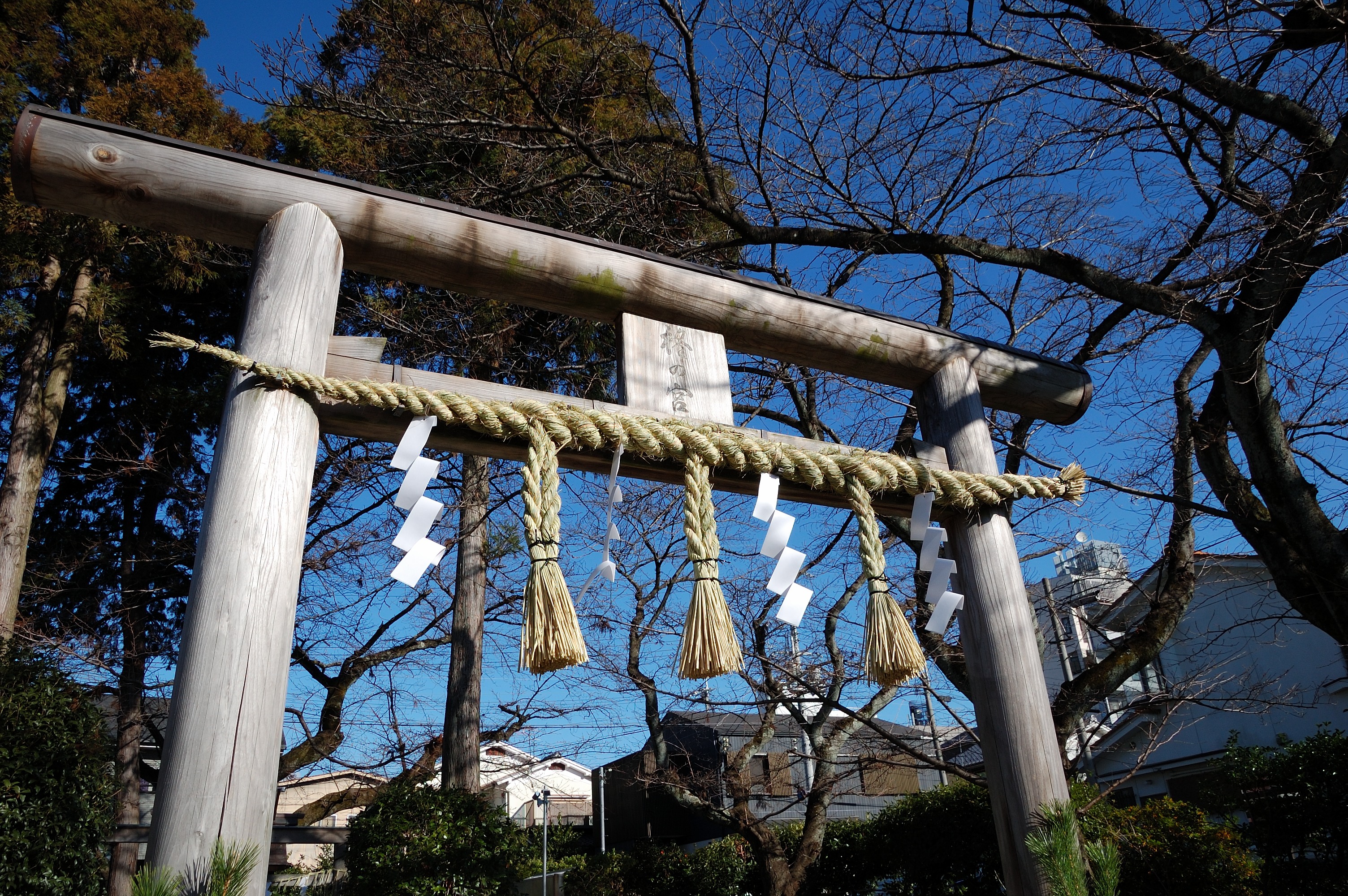 torii_20151230_023