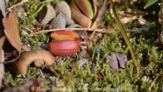 Thumbnail of post image 182