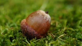 Thumbnail of post image 190