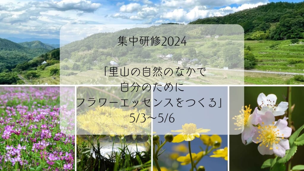 「里山の自然のなかで自分のためにフラワーエッセンスをつくる」集中研修2024春