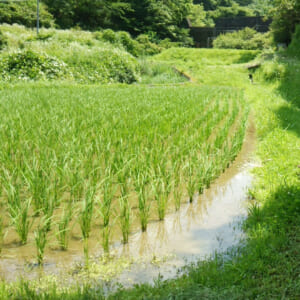 受け渡されたもの：「集中研修」が形になった経緯