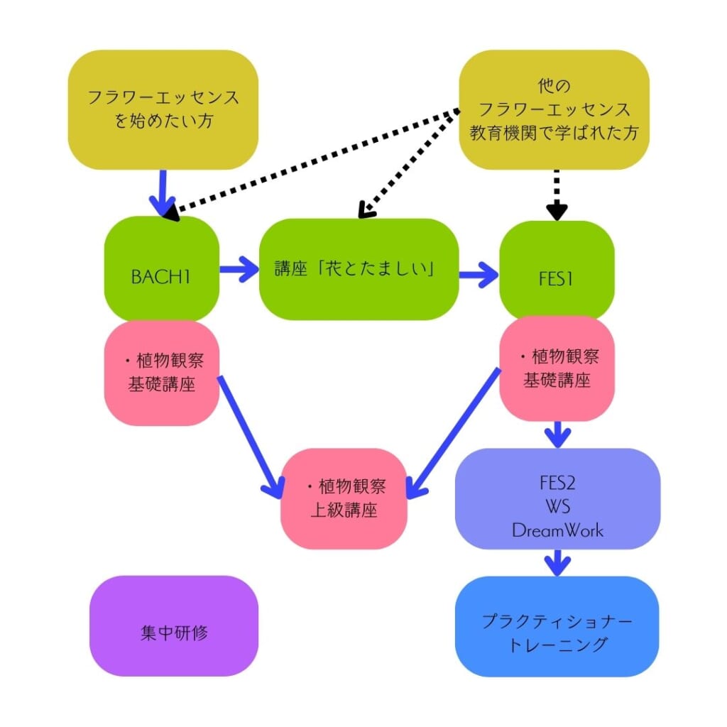 飛ぶフラワーエッセンス教室・学びの流れ