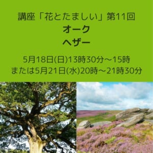 花とたましい第11回-オーク、ヘザー