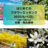 Thumbnail of new posts 114