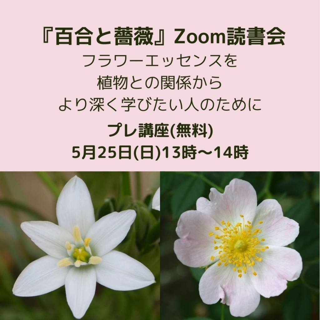 『百合と薔薇』Zoom読書会