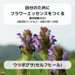 「里山の自然のなかで自分のためにフラワーエッセンスをつくる」研修