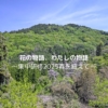 花の物語、わたしの物語 〜集中研修2025春を終えて〜