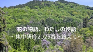 花の物語、わたしの物語 〜集中研修2025春を終えて〜