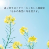 はじめてのフラワーエッセンス体験会「自分の感覚に耳を澄ます」