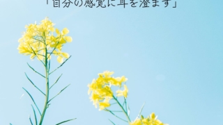 はじめてのフラワーエッセンス体験会「自分の感覚に耳を澄ます」