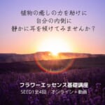 フラワーエッセンス基礎講座-SEED1(BACH)