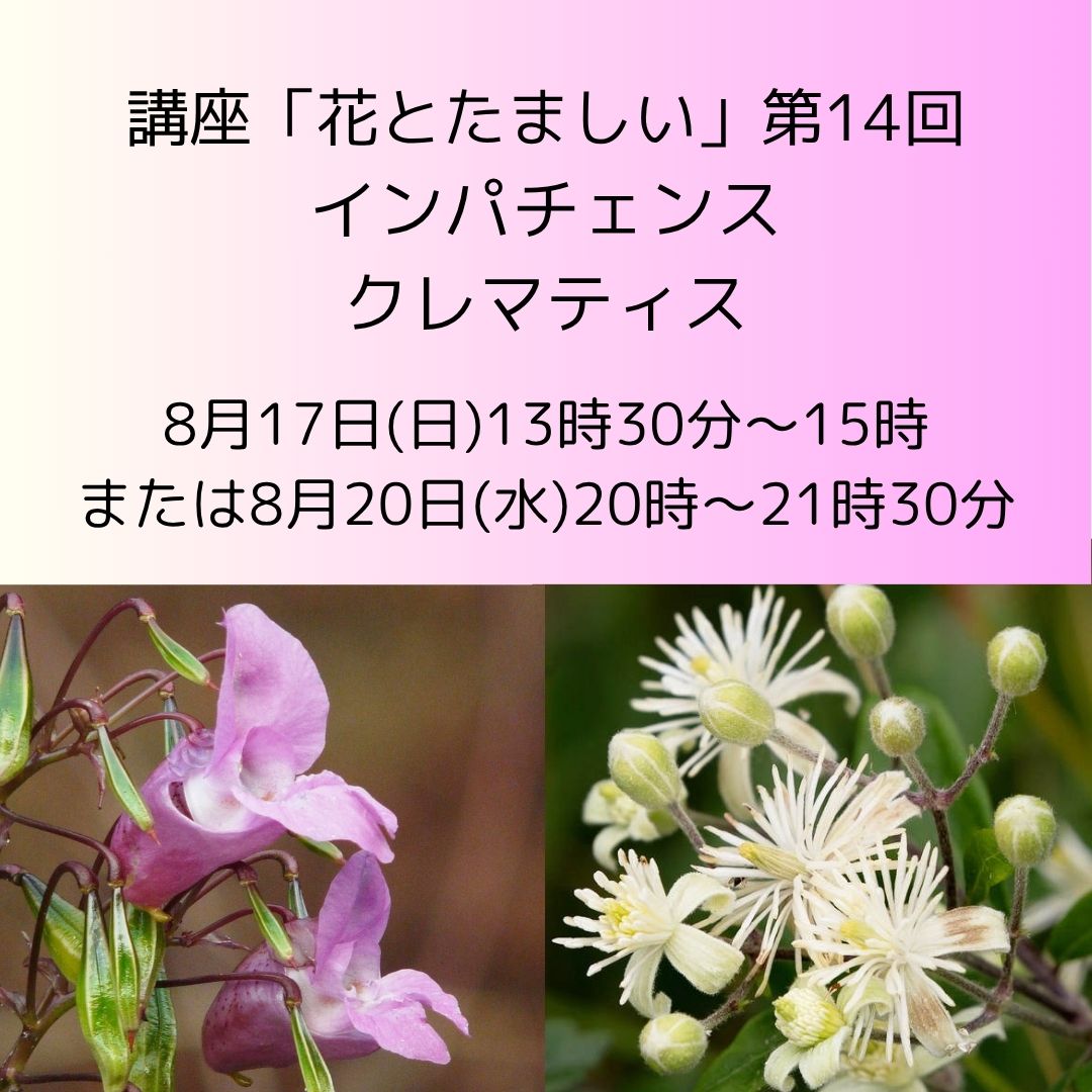 講座「花とたましい - Bachの38のエッセンスを深掘り」インパチェンス、クレマティス