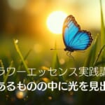 フラワーエッセンス実践講座「今あるものの中に光を見出す」