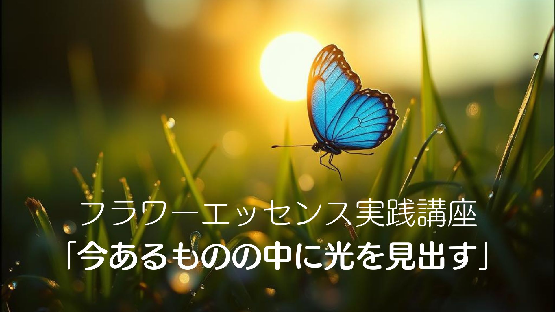 フラワーエッセンス実践講座「今あるものの中に光を見出す」