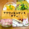 フラワーエッセンスカフェ