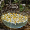 フラワーエッセンスの効果とは？よくある質問