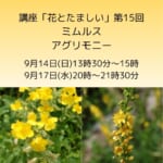 講座「花とたましい – Bachの38のエッセンスを深掘り」