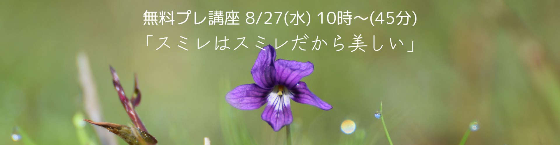 無料プレ講座「スミレはスミレだから美しい」