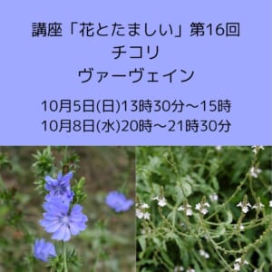 講座「花とたましい - Bachの38のエッセンスを深掘り」