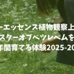 フラワーエッセンス植物観察上級講座｜スターオブベツレヘムを半年間育てる体験2025-2