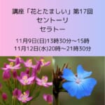 講座「花とたましい – Bachの38のエッセンスを深掘り」