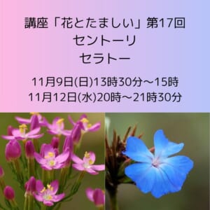 講座「花とたましい - Bachの38のエッセンスを深掘り」