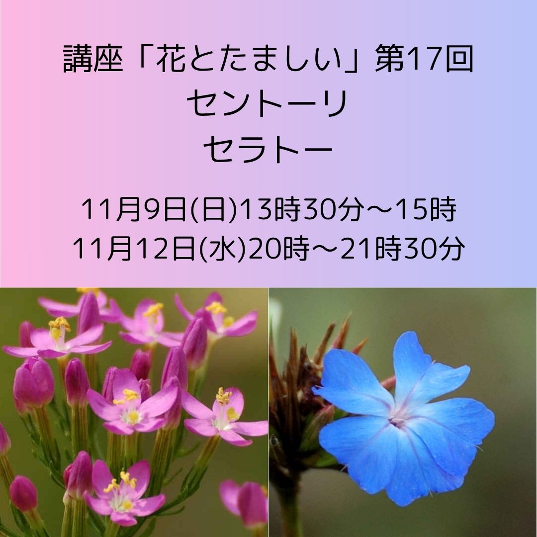 講座「花とたましい - Bachの38のエッセンスを深掘り」