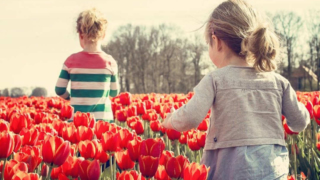 Thumbnail of post image 010