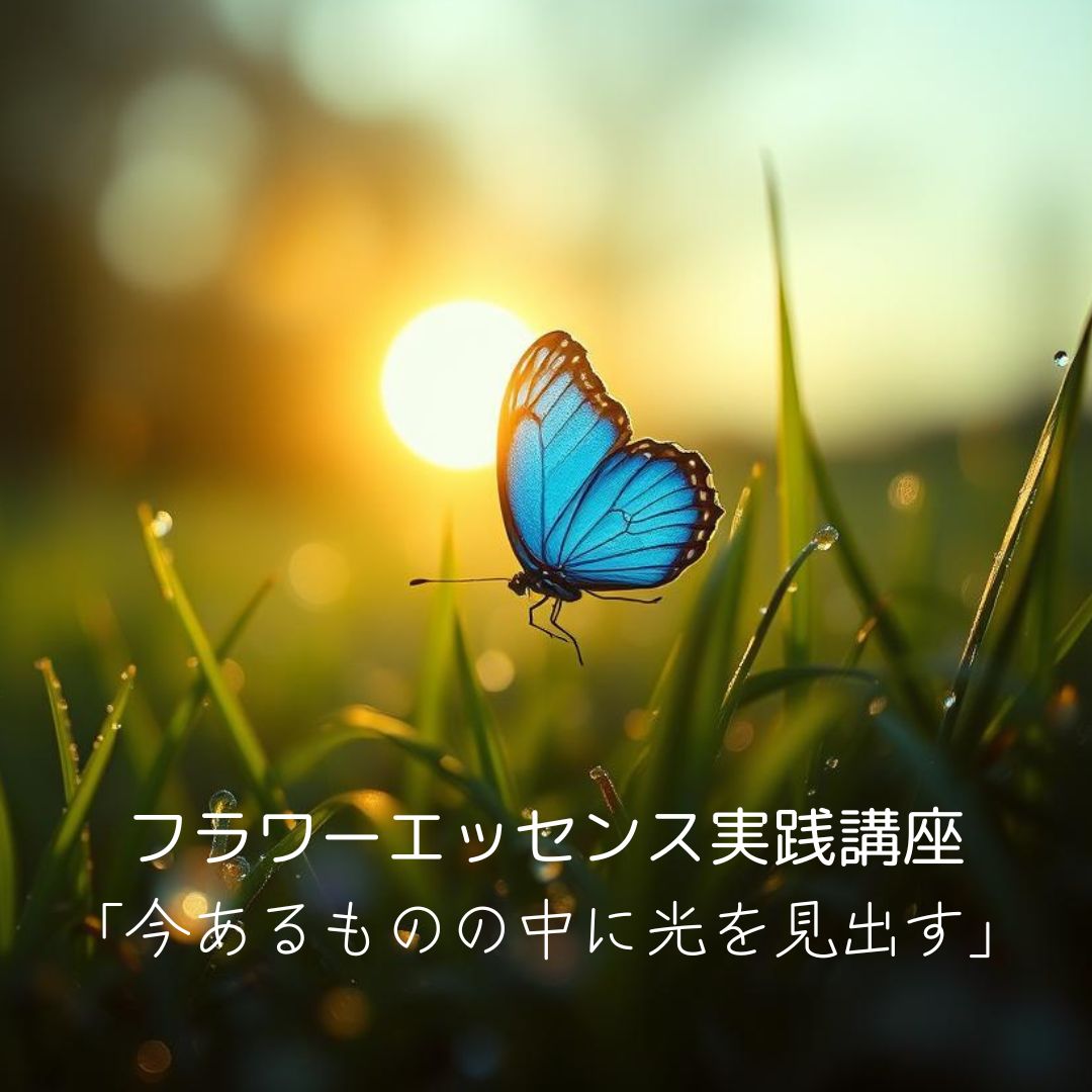 フラワーエッセンス実践講座「今あるものの中に光を見出す」