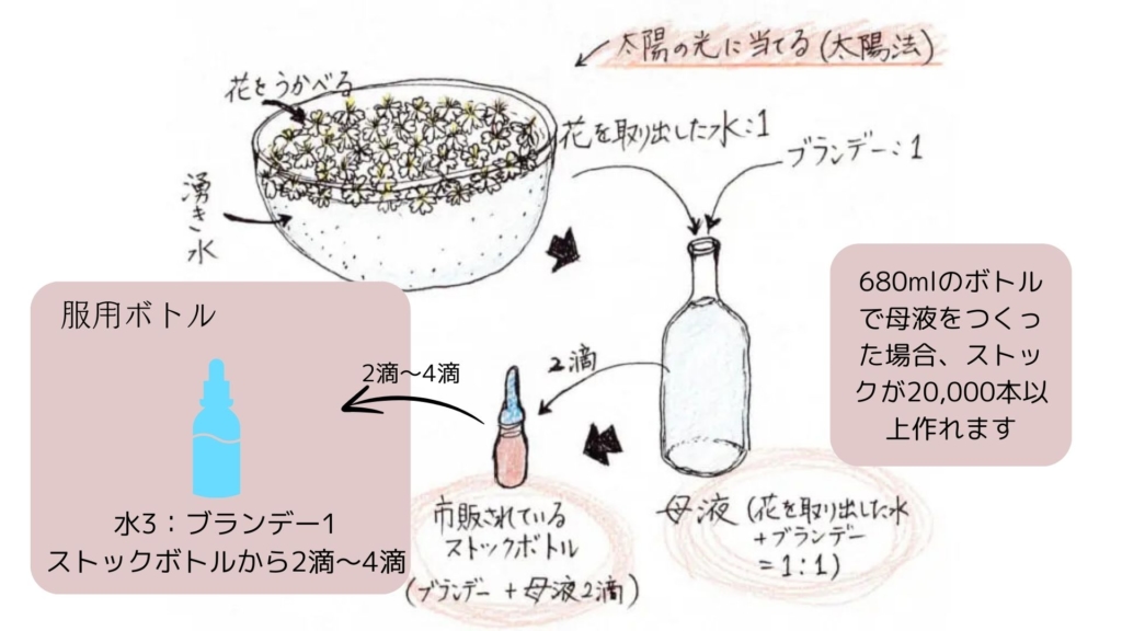 太陽法