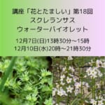 講座「花とたましい – Bachの38のエッセンスを深掘り」