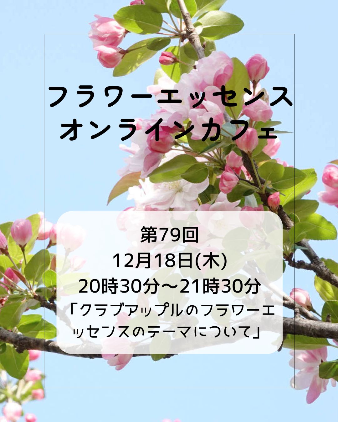 フラワーエッセンスオンラインカフェ