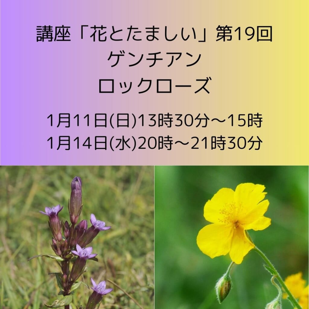 講座「花とたましい」第19回