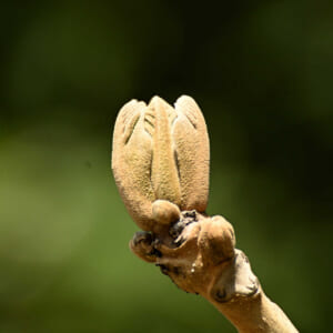 手放す、ということ