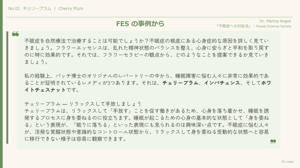 チェリープラム・FES事例スライド