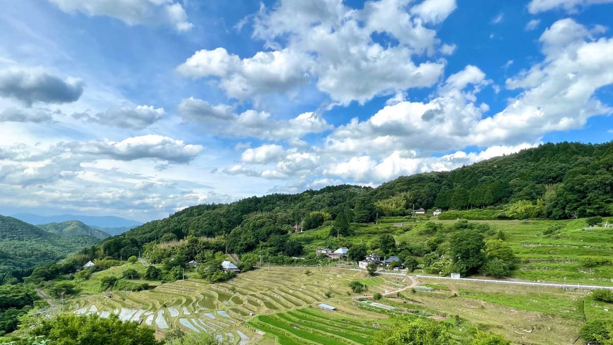「里山の自然のなかで自分のためにフラワーエッセンスをつくる」研修