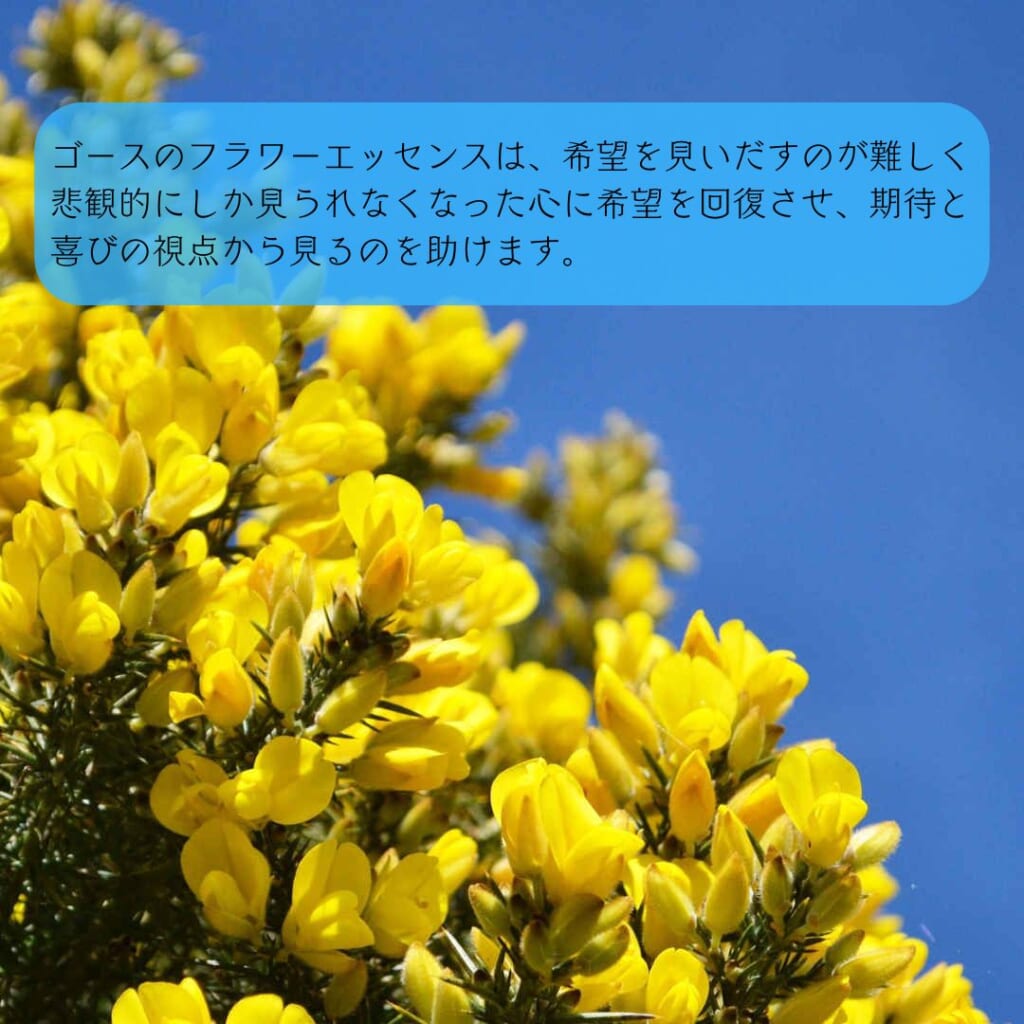 ゴースと共鳴する心