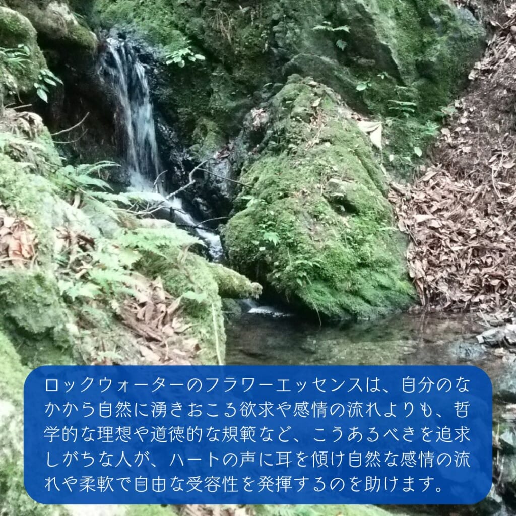 ロックウォーターと共鳴する心