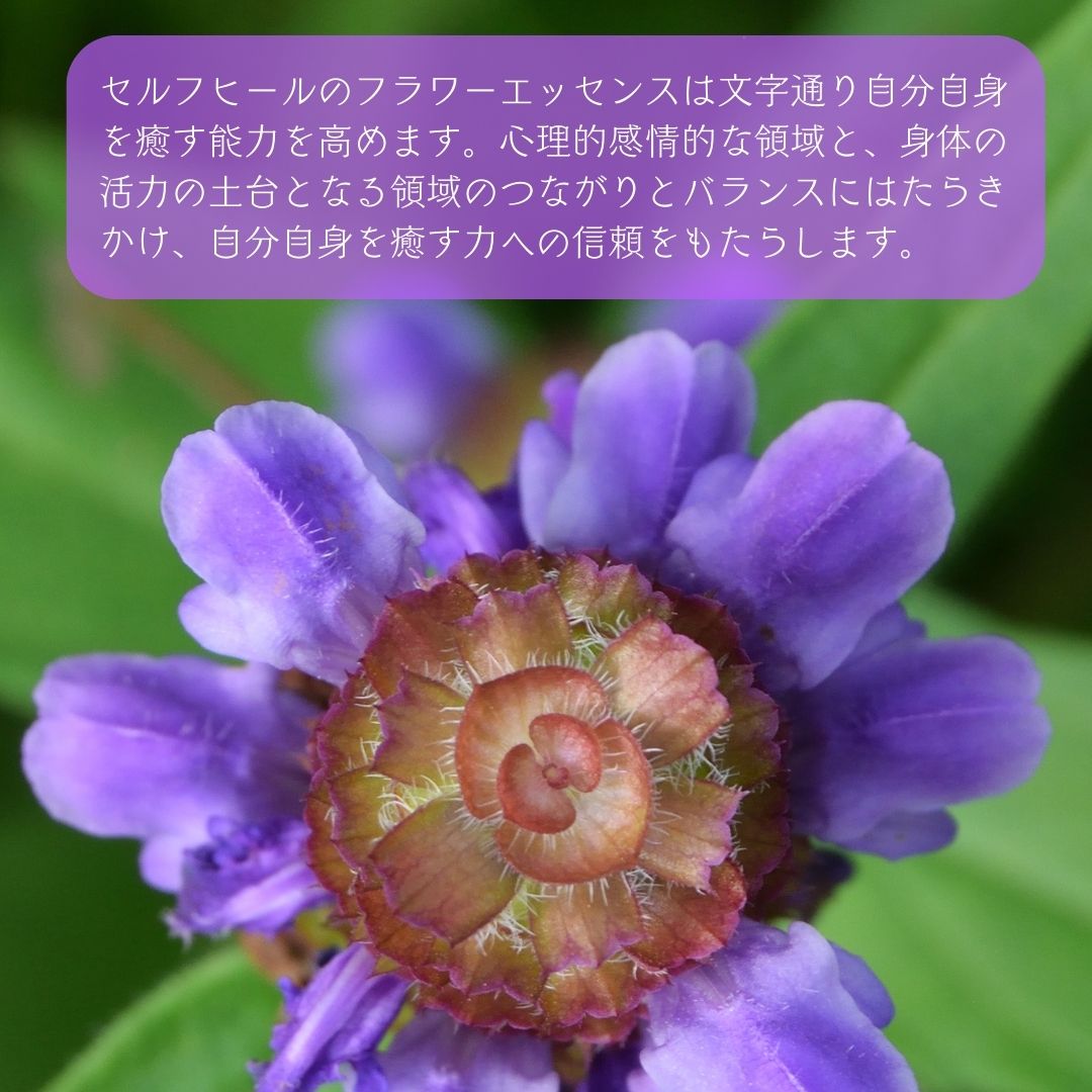 セルフヒールと共鳴する心