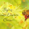 フラワーエッセンス講座－飛ぶフラワーエッセンス教室