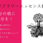 FESフラワーエッセンス中級～上級SEED-FES1(オンライン講座)