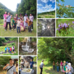 参加者の方の感想
