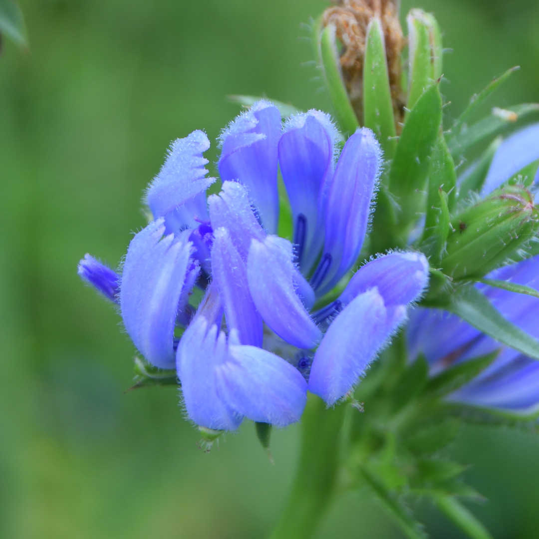 Thumbnail of post image 132
