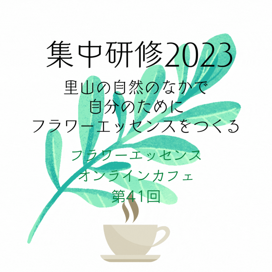 フラワーエッセンス・オンラインカフェ「集中研修2023」