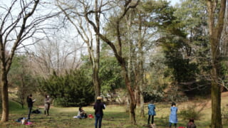 バッチフラワーレメディーの植物が観察できる植物園【まとめ】